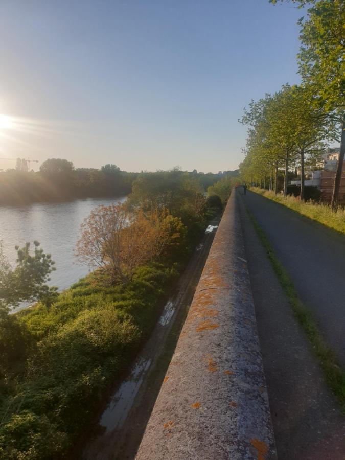 Appart Cosy Sur Berges De Garonne Pour Vacances & Affaires トゥールーズ エクステリア 写真